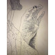 Litografia Man Ray Off set certifikovaná 50x65 cm