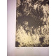 Man Ray Off set lithograph cm 50x65 certified