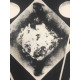 Litografia Man Ray Off set certifikovaná 50x65 cm
