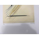 Litografia Man Ray Off set certifikovaná 50x65 cm