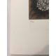 Mario Ceroli Lithografie off set 50x65 cm gecertificeerd