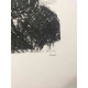 Mario Ceroli Lithografie off set 50x65 cm gecertificeerd