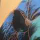 Andy Warhol Ronald Feldman Fine Art cm 96x96 Endangered Species