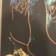 Andy Warhol Ronald Feldman Fine Art cm 96x96 Endangered Species