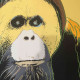 Andy Warhol Ronald Feldman Fine Art cm 96x96 Endangered Species