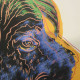 Andy Warhol Ronald Feldman Fine Art cm 96x96 Endangered Species