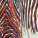 Andy Warhol Ronald Feldman Fine Art cm 96x96 Endangered Species