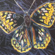 Andy Warhol Ronald Feldman Fine Art cm 96x96 Endangered Species