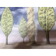 Set de litografía Rene Magritte 50x70 cm certificado