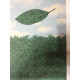Rene Magritte Lithographie Offset 50x70 cm zertifiziert