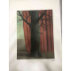 Rene Magritte Litografia off set cm 50x70 certificata