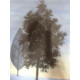 René Magritte Litografía off set 50x70 cm certificada