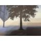 René Magritte Litografía off set 50x70 cm certificada