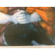 Remo Squillantini Litografia off set cm 50x70   certificata