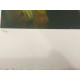 Remo Squillantini Litografia off set cm 50x70   certificata
