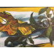 Renato Guttuso Litografía Offset 50x70 cm certificada