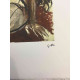 Renato Guttuso Offsetowa litografia 50x70 cm certyfikowana