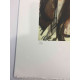 Renato Guttuso Offsetowa litografia 50x70 cm certyfikowana