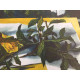Renato Guttuso Litografía Offset 50x70 cm certificada