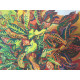 Renato Guttuso Litografía Offset 50x70 cm certificada