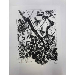Picasso Lithografie off set 50x70 cm Museumeditie