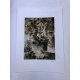 Litografie Picasso ofset 50x70 cm Muzejní vydání