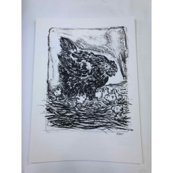 Picasso Litografia off set 50x70 cm edizione  Museo