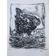 Picasso Litografia off set 50x70 cm edizione  Museo