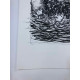 Picasso Litografia off set 50x70 cm edizione  Museo
