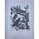Litografia de Picasso off set 50x70 cm Edição Museu