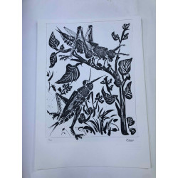 Litografia de Picasso off set 50x70 cm Edição Museu