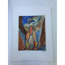 Picasso Lithograph off set 50x70 cm Museum edition