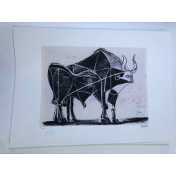 Litografie Picasso ofset 50x70 cm Muzejní vydání
