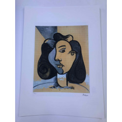 Picasso Lithografie off set 50x70 cm Museumeditie