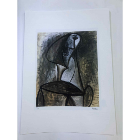 Picasso Lithograph off set 50x70 cm Museum edition