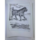 Picasso Lithographie hors set 50x70 cm Edition Musée