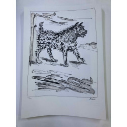 Picasso Lithographie hors set 50x70 cm Edition Musée