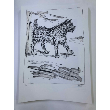 Picasso Lithographie hors set 50x70 cm Edition Musée