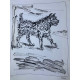 Picasso Lithographie hors set 50x70 cm Edition Musée