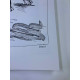 Picasso Lithographie hors set 50x70 cm Edition Musée