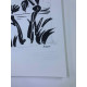 Litografie Picasso ofset 50x70 cm Muzejní vydání