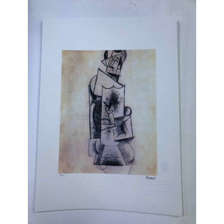 Picasso Lithographie hors set 50x70 cm Edition Musée