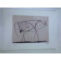 Picasso Litografia off set 50x70 cm edizione  Museo