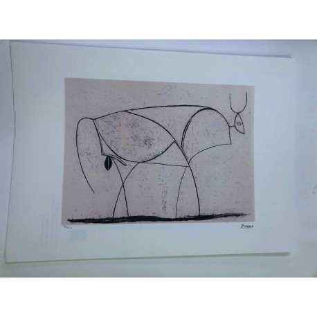 Picasso Litografia off set 50x70 cm edizione  Museo