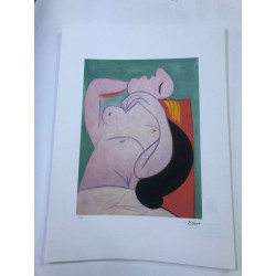 Picasso Litografía offset 50x70 cm Edición Museo