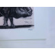 Litografía Picasso off set 50x70 cm Edición museo