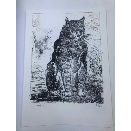 Picasso Lithographie hors set 50x70 cm Edition Musée
