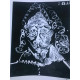 Picasso Litografia offset 50x70 cm Edició Museu