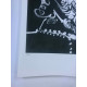 Picasso Litografia offset 50x70 cm Edició Museu