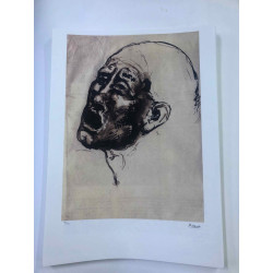 Picasso Lithograph off set 50x70 cm Museum edition